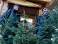 Eine-Pfaendertanne-in-Lochau-kaufen-3