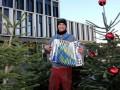 Eine-Pfaendertanne-in-Lochau-kaufen-4