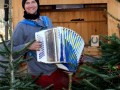 Eine-Pfaendertanne-in-Lochau-kaufen-5