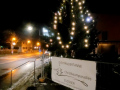 Lochau-Zussner-VATER-PIUS-Pfaender-CHRISTBAUMVERKAUF-Dezember-2023-TERMIN