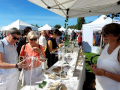 Einladung-zum-Kunstmarkt-am-Lochauer-Kaiserstrand-1