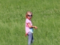 Faschingszunft Sommerfest 2017 (17)