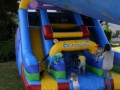 Faschingszunft Sommerfest 2017 (51)