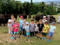 Ferienprogramm Yakhof (1)