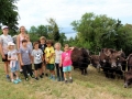 Ferienprogramm Yakhof (2)