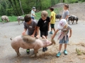 Ferienprogramm Yakhof (3)