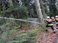Feuerwehrgroßübung-2019-83