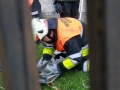 Feuerwehrkreisübung 2018 (48)