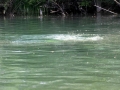 Freiheit unter Wasser 2018 (11)