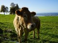 Fritsch-am-Berg-Ein-und-Ausblicke