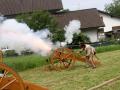 Über-240-Jahre-Tradition-in-Hörbranz-2019-161