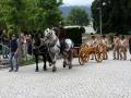 Über-240-Jahre-Tradition-in-Hörbranz-2019-163