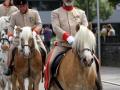 Über-240-Jahre-Tradition-in-Hörbranz-2019-177