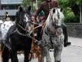 Über-240-Jahre-Tradition-in-Hörbranz-2019-186