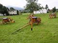 Über-240-Jahre-Tradition-in-Hörbranz-2019-84
