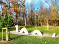 Lochau-See-UFERLANDSCHAFT-Baumpflanzungen-PATEN-Herbst-1