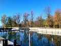 Lochau-See-UFERLANDSCHAFT-Baumpflanzungen-PATEN-Herbst-8