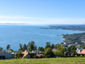 20220906_Blick-auf-den-Bodensee-4