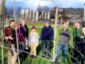 BU-1-Obsthof-Leiblachtal-BAUMSCHNITTKURS-A-Praxis-Maerz-2024-1