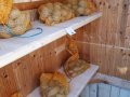 Hehle-Farm-6