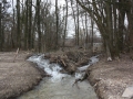 Hörbranz Biber am See 2016 (4)