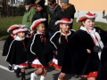 Hörbranz Umzug Lochau 2017 (12)
