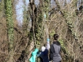 Hörbranzer-räumten-auf-2019-10