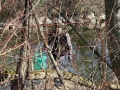 Hörbranzer-räumten-auf-2019-23