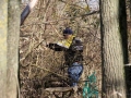 Hörbranzer-räumten-auf-2019-44