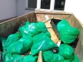 Hörbranzer-räumten-auf-2019-94