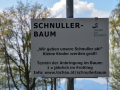 Schnullerbaum-1