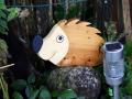igel-32