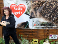 Igel-6