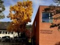 Informationen-rund-um-die-Sanierungsarbeiten-im-Lochauer-P-6