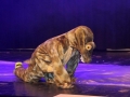 Kindertheater-Hörbranz-2019-101