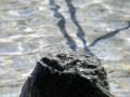 Wassertrete-15