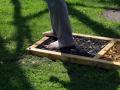 Wassertrete-17