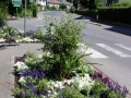 Leiblachtaler-Artenvielfalt-Arbeitsgruppe-2019-8