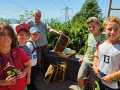 FERIENPROGRAMM-Wald-und-Bienen-2026-2