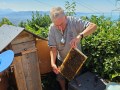 FERIENPROGRAMM-Wald-und-Bienen-2026-9