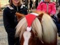 Lochau Nikolausmarkt 2017 (8)