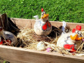 Lochau-Kunstmarkt-am-Kaiserstrand-NACHBERICHT-2023-14