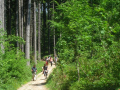Eichenberg-D-GAeSTE-INFO-Symbolfotos-Sammlung-BMS-Juli-2022-3