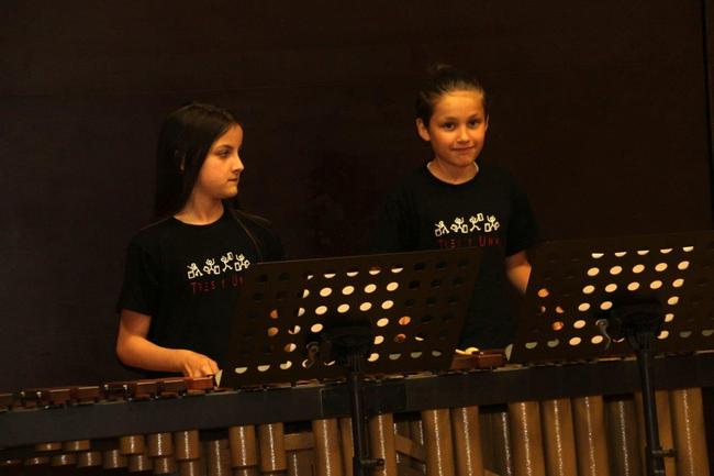 Musikschule Muttertagskonzert 2018 (36)