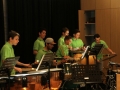 Musikschule Leiblachtal 2017 (11)