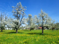 Natur-im-Takt-bei-der-Umweltwoche-2026-in-Lochau-erleben-4