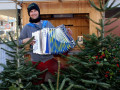 Lochau-Zussner-CHRISTBAUMVERKAUF-Advent-Dezember-2021-1-HARALD