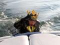 Prinz-Mario-surft-ins-neue-Jahr-13
