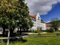 Radzaehlstelle-am-Bodensee-Radweg-am-Lochauer-12