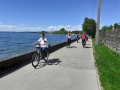 Radzaehlstelle-am-Bodensee-Radweg-am-Lochauer-13
